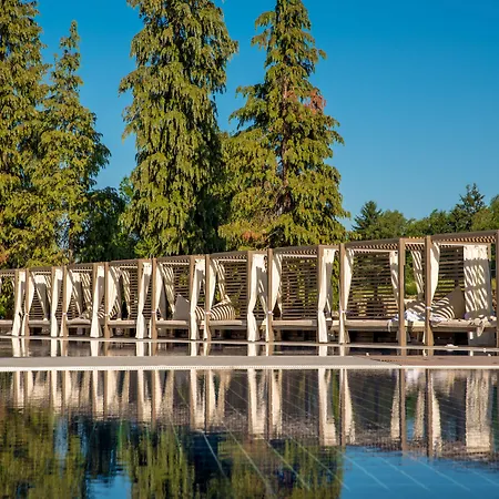 Hotel Arte Spa&park 5*