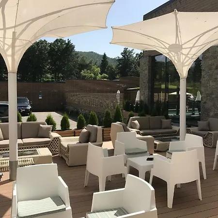 Arte & Park 5* Βέλινγκραντ